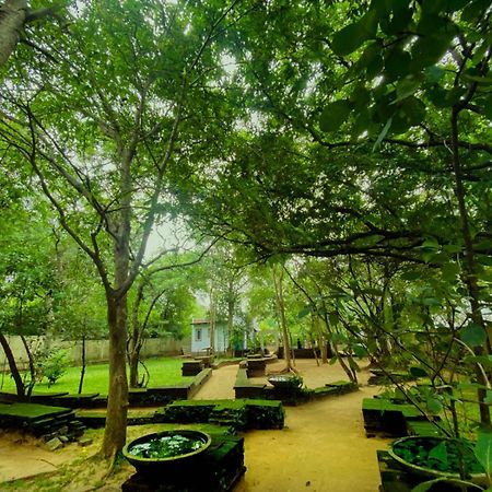 Twin Blocks Nature Resort Anuradhapura Luaran gambar