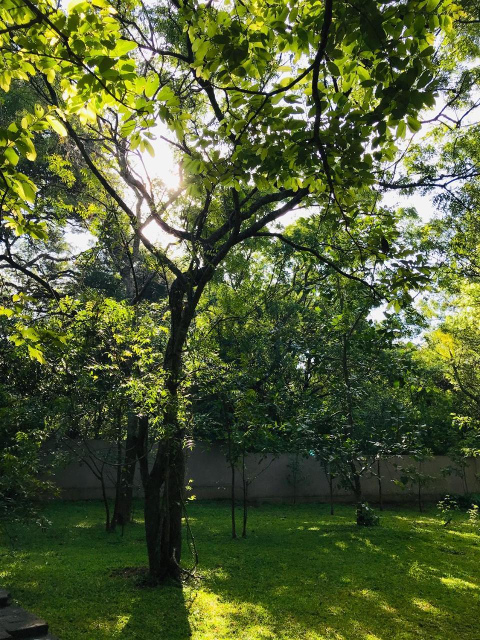 Twin Blocks Nature Resort Anuradhapura Luaran gambar